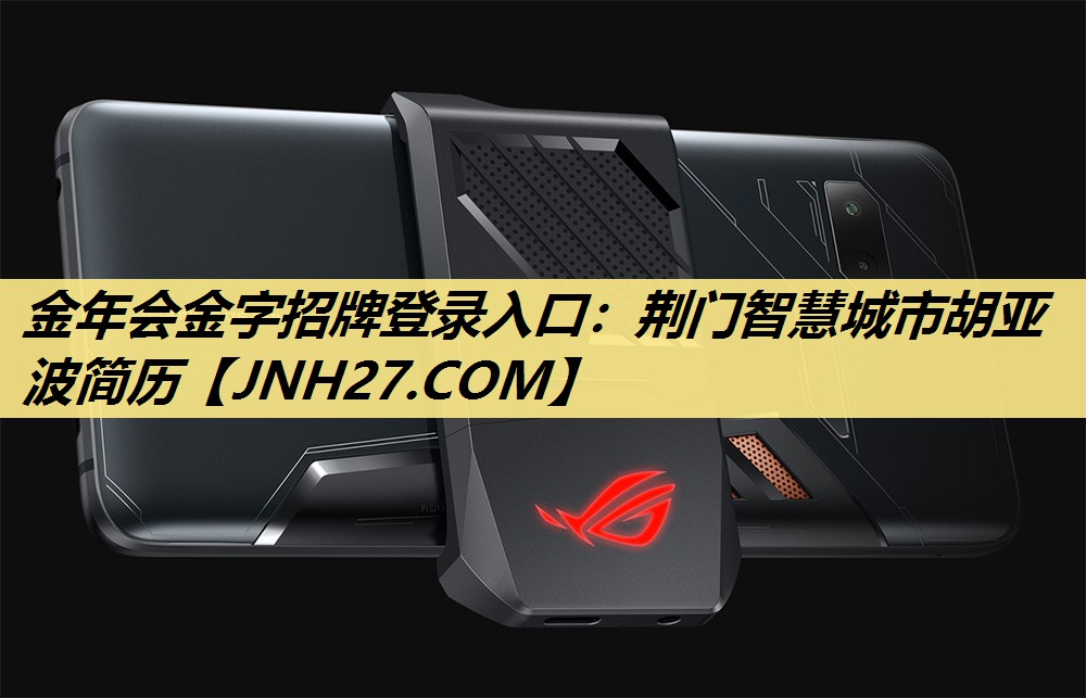 金年会金字招牌登录入口：荆门智慧城市胡亚波简历