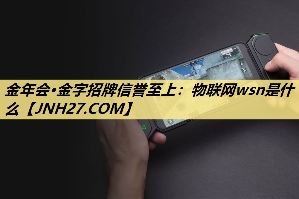 物联网wsn是什么