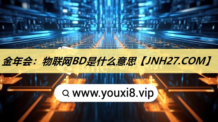 物联网BD是什么意思
